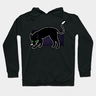 Ravenpaw Hoodie